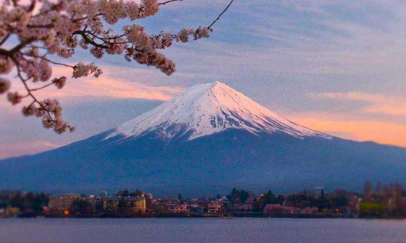 日本房產(chǎn)中介 日本房產(chǎn)中介