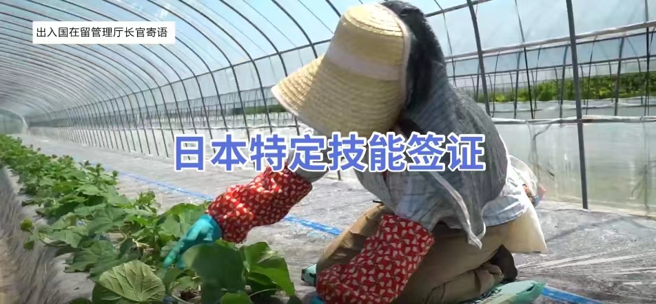 日本工作,日本就職,日本工作,日本特定技能簽證,日本簽證,日本,日本留學,東京,東京留學,